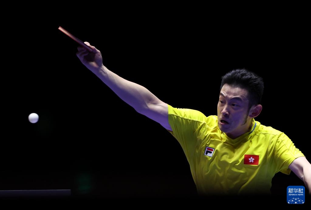 雷斯特防线 雷斯特防线